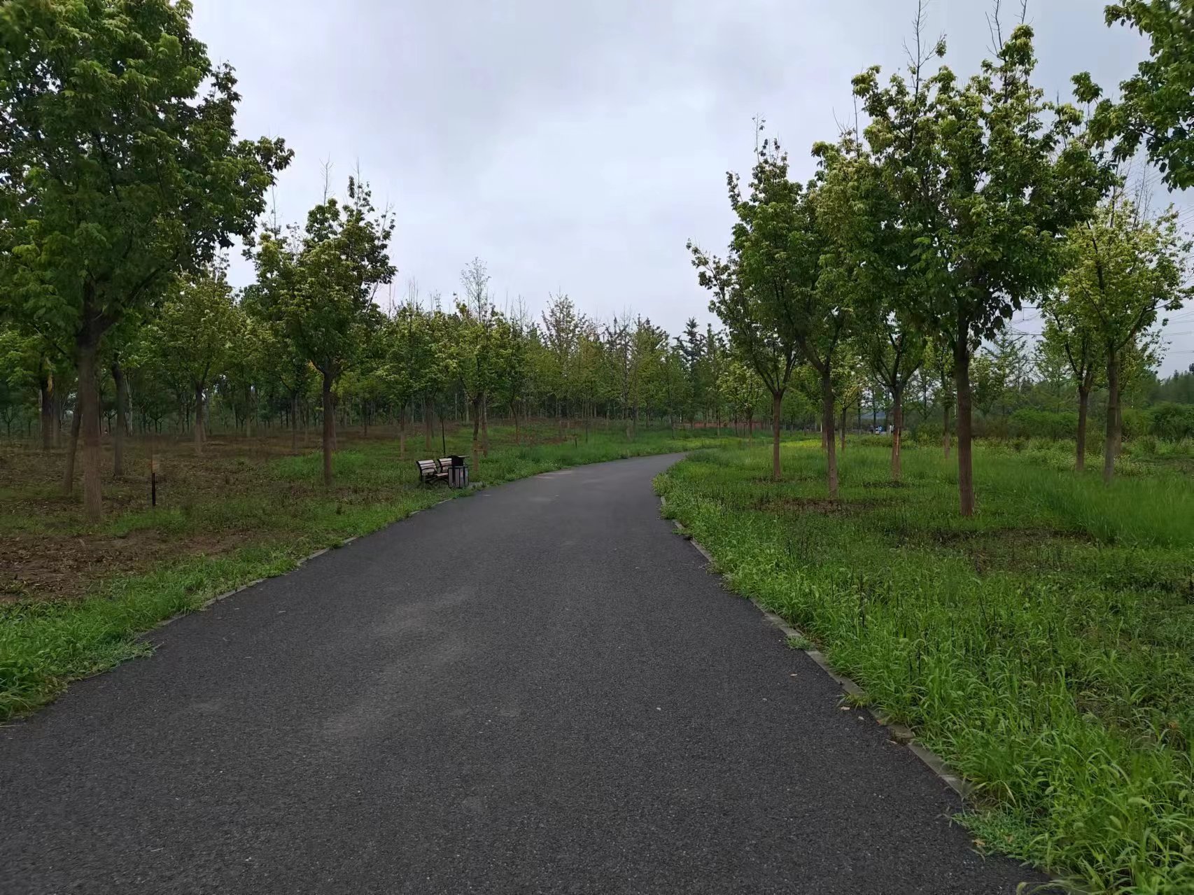 谁还没有个小破地坛