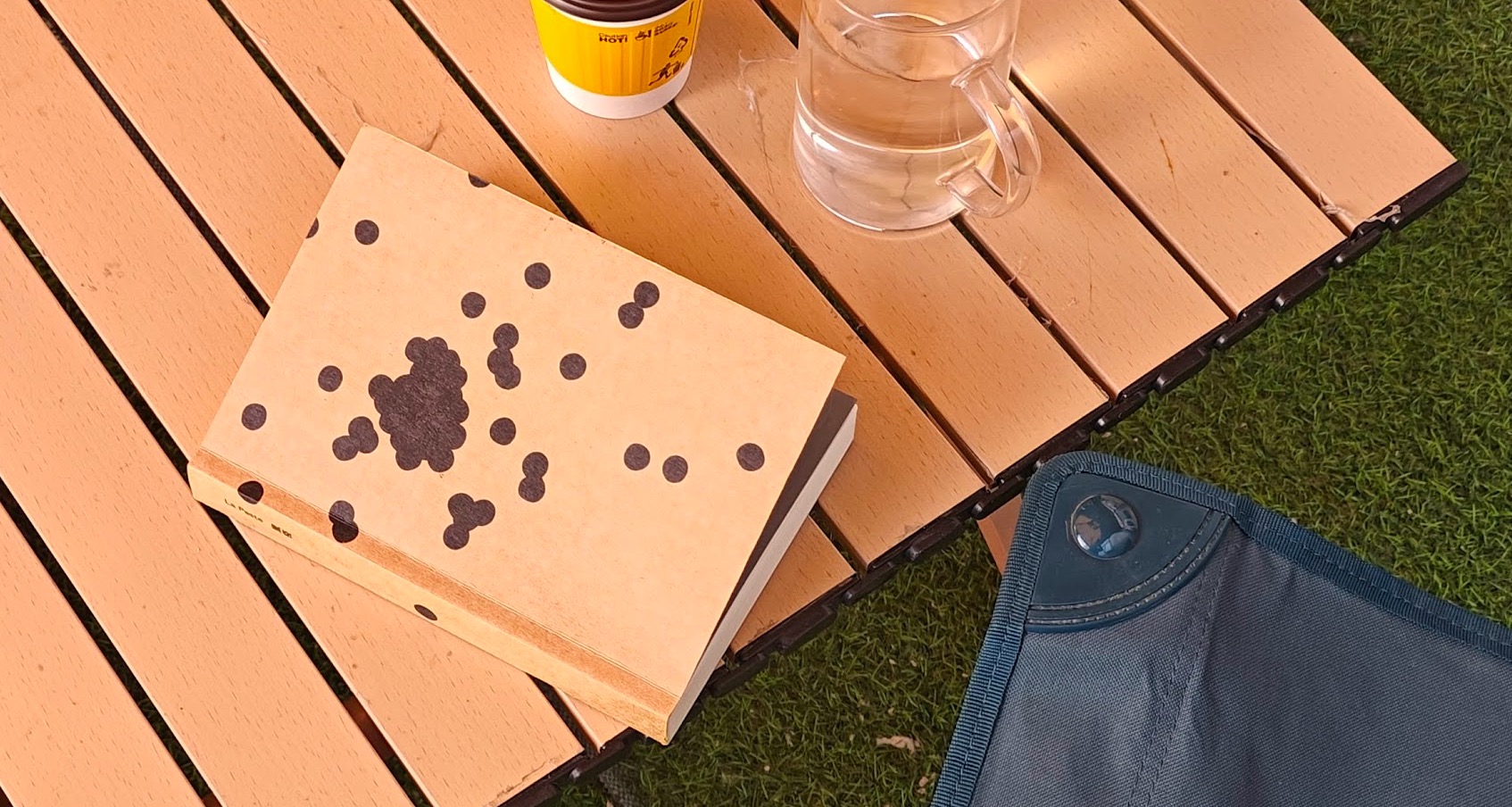 鼠疫读书笔记1·小说还能这么写吗？