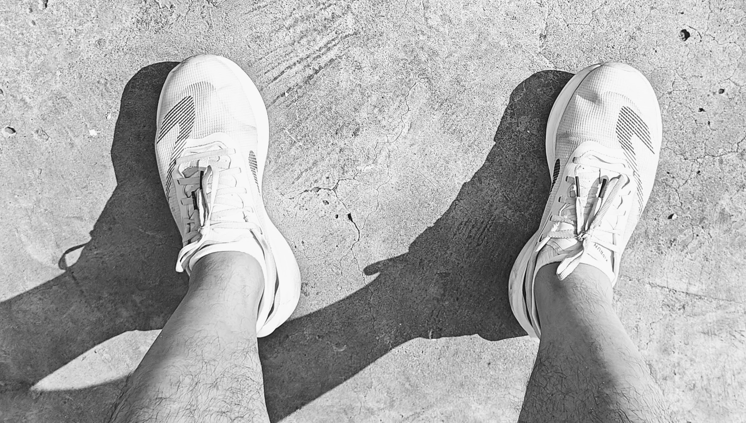 敬，努力甩掉热量的我们