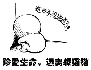 Featured image of post 珍爱生命，远离躲猫猫