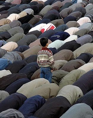 Featured image of post 所谓“大神”