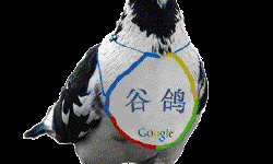 Featured image of post Google带来别样愚人节－谷鸽鸟看