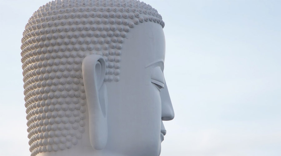 Featured image of post 我眼中的个人努力