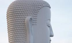 Featured image of post 我眼中的个人努力