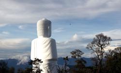 Featured image of post 时间戳·2017总结与2018期许