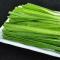 茁壮的韭菜