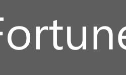 Featured image of post 努力的悖论 | 内卷，996，和资产的荒诞